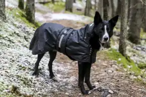 Picture for category Back On Track Products